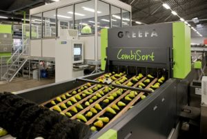 Photo%201%20-%20GREEFA%20CombiSort%20with%20pears