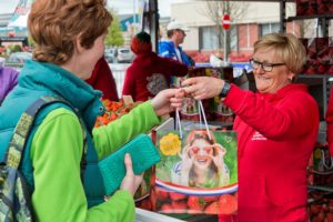 Wandelaars keerden huiswaarts met overheerlijke aardbeien in speciale aardbeientassen
