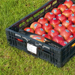 Groene etiketten voor FruitMasters