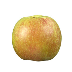 Dijkmans Zoet