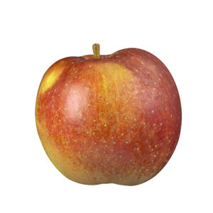 Golden Rennet