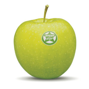 Greenstar packshot