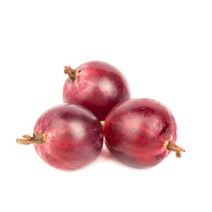 gooseberry