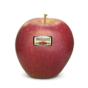 Wellant