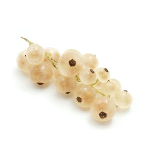 whitecurrant