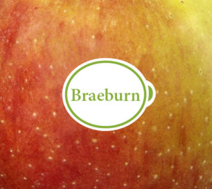 Braeburn packshot closeup