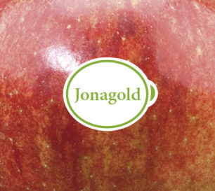 Jonagold packshot closeup