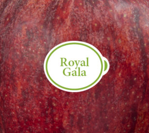 Royal Gala Packshot closeup