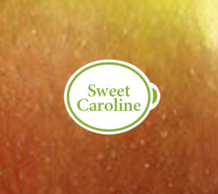 sweetcaroline_closeup