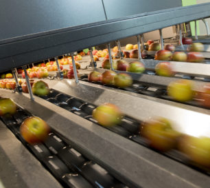 Transport Fruitmasters