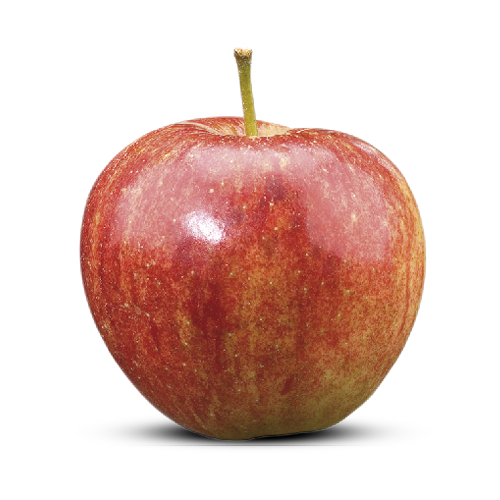 Jonagold FruitMasters