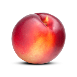 Nectarine – FruitMasters