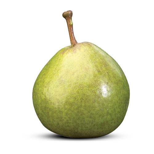 Saint Remy FruitMasters