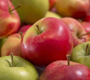 Industrial Fruit Fruitmasters