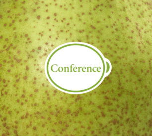 Conference_Closeup
