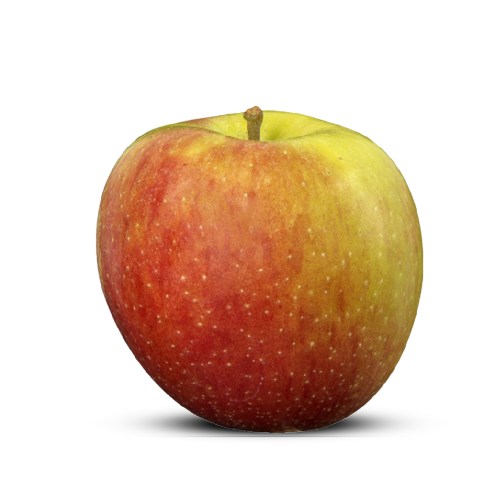 Braeburn Fruitmasters
