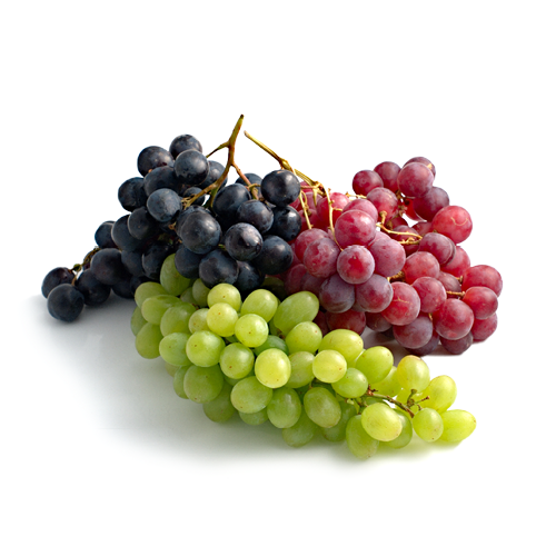 Grapes Fruitmasters